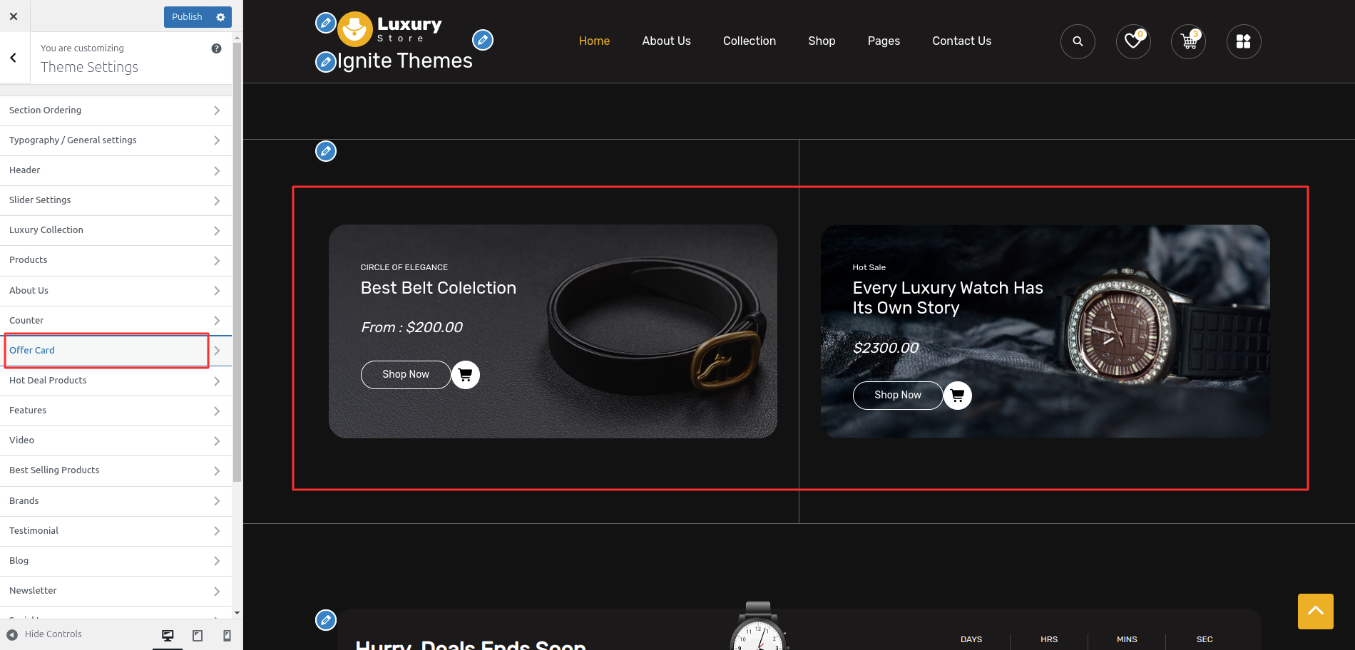 Offer Card Customizer Settings