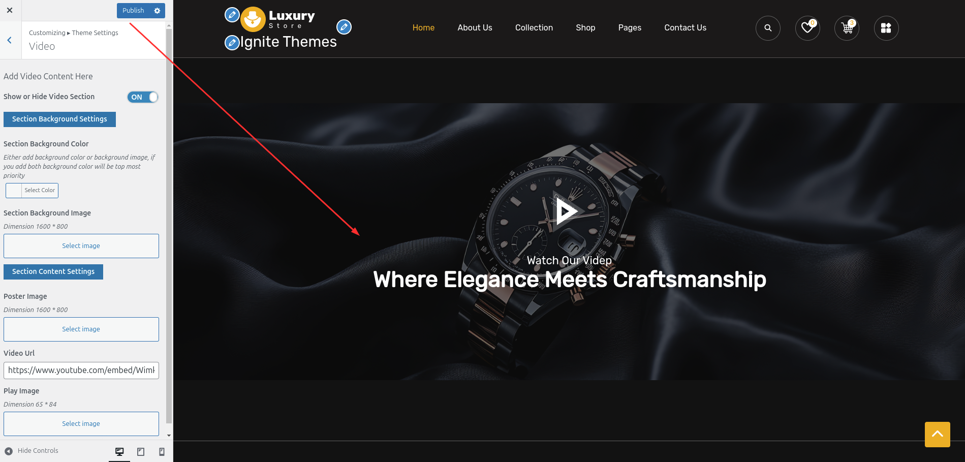 Video Customizer Settings