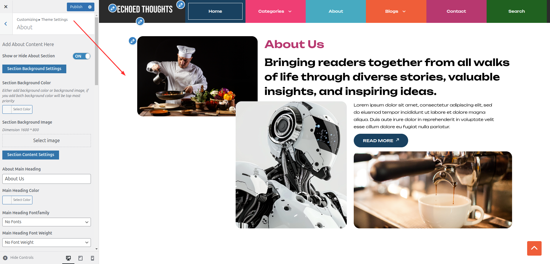 About Customizer Settings