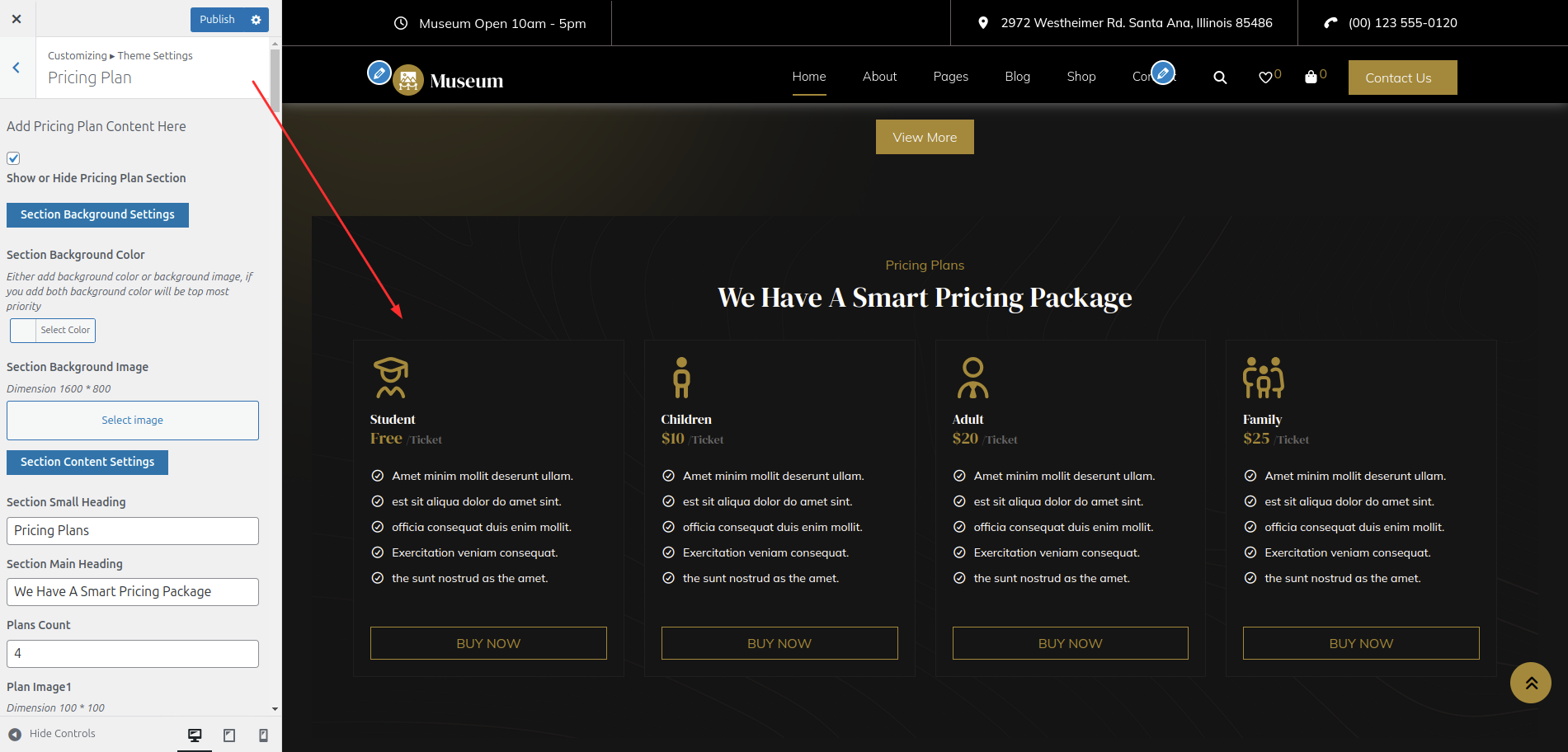 Pricing Plans Customizer Settings