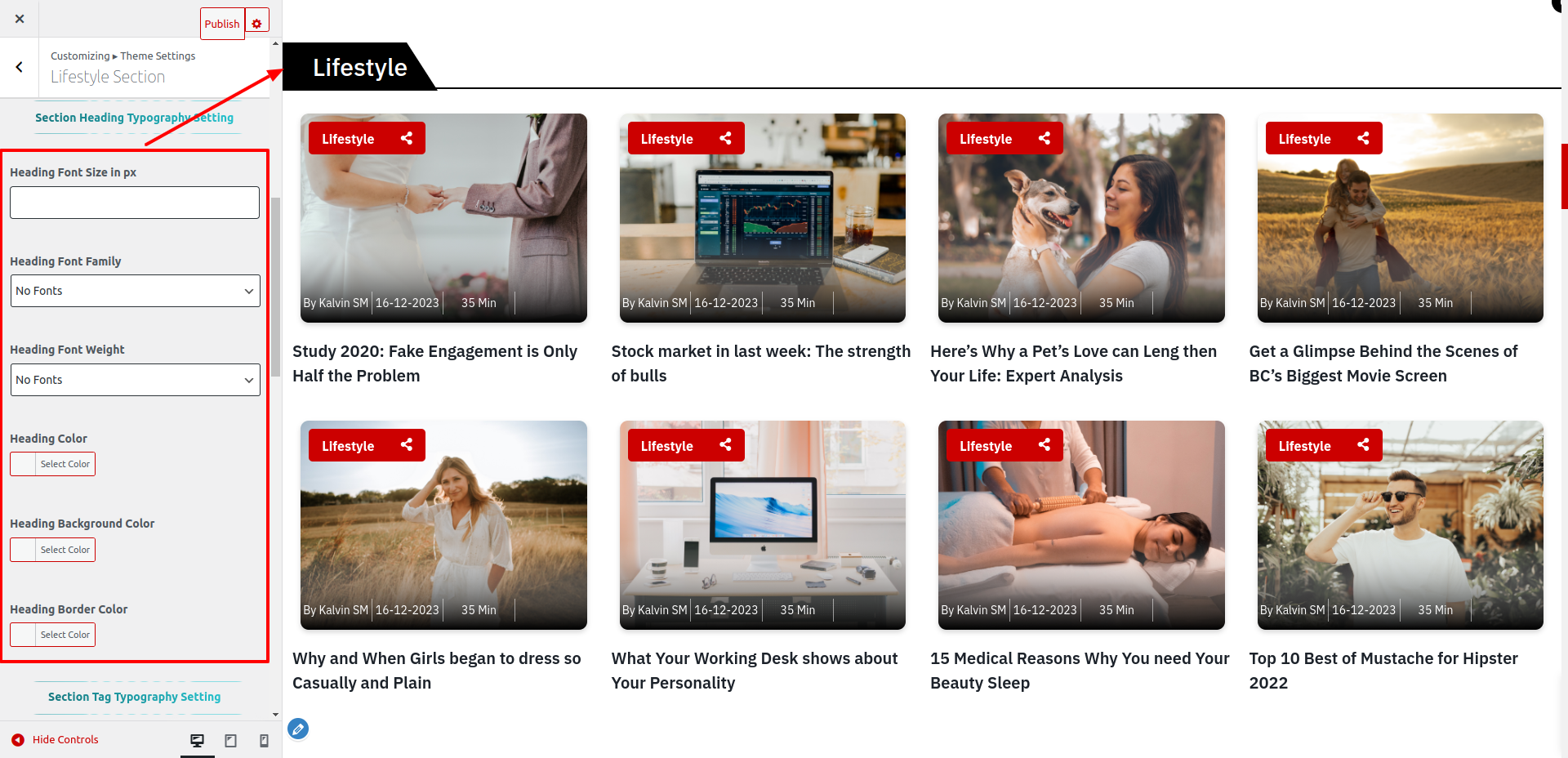 Lifestyle News Section Customizer Settings