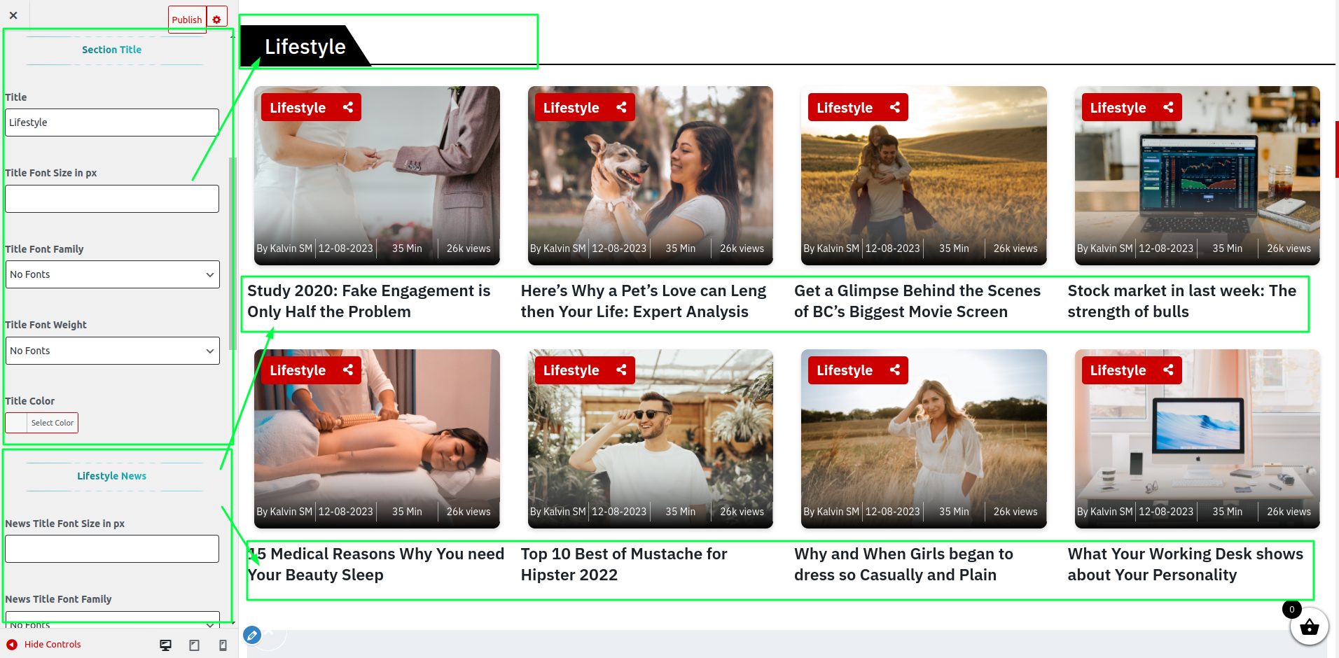 Lifestyle News Section Customizer Settings