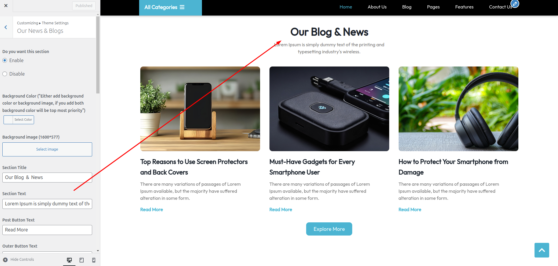 Blog Customizer Settings