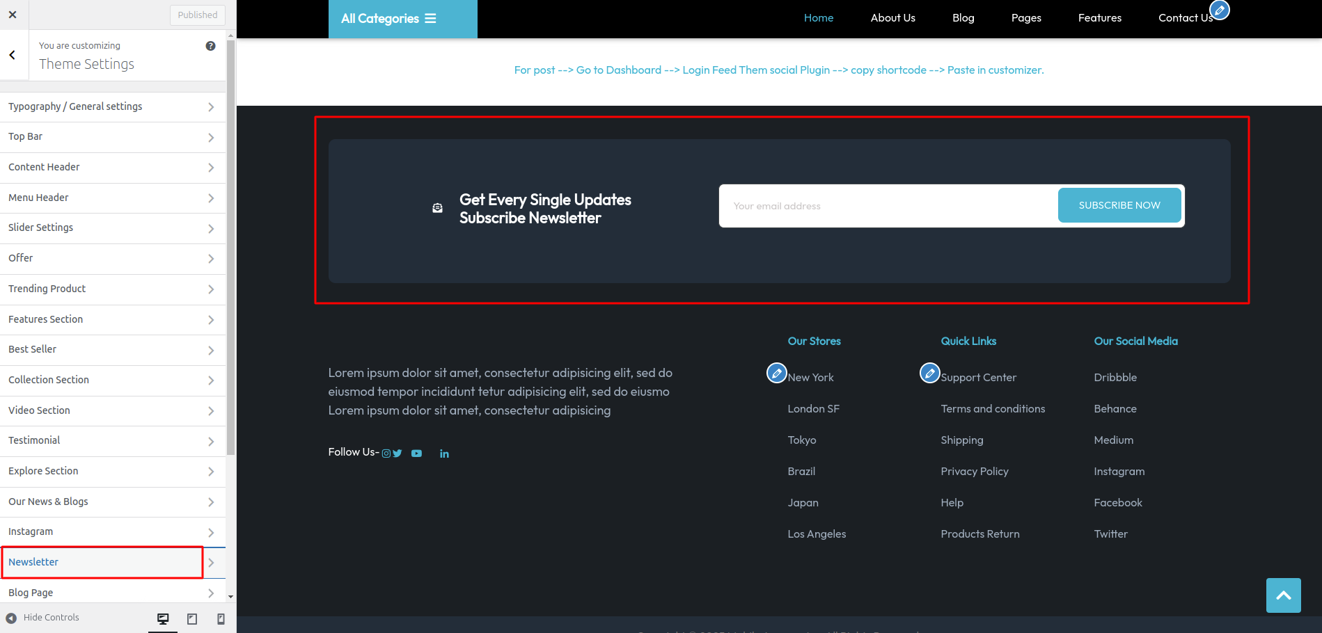 Newsletter Customizer Settings