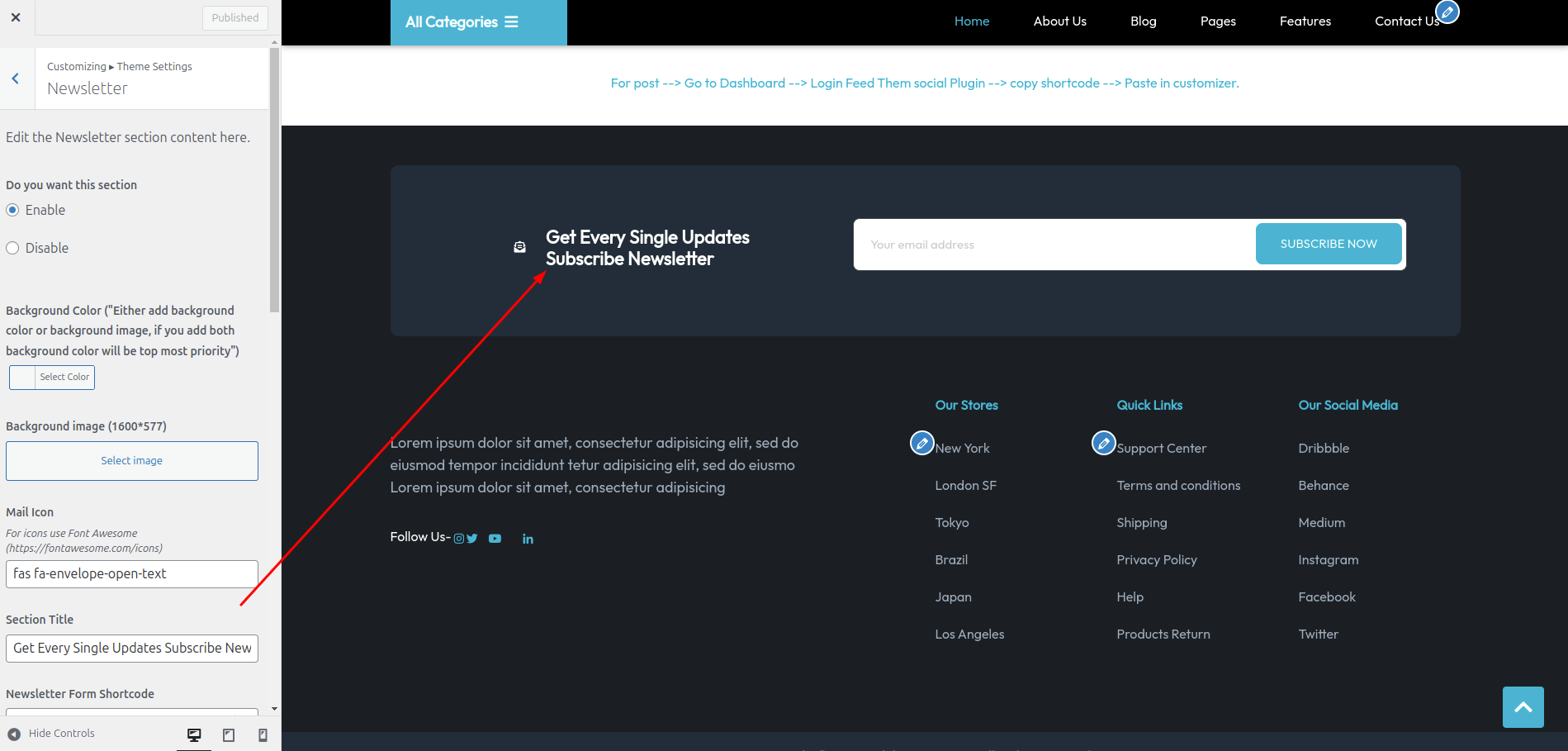 Newsletter Plans Customizer Settings
