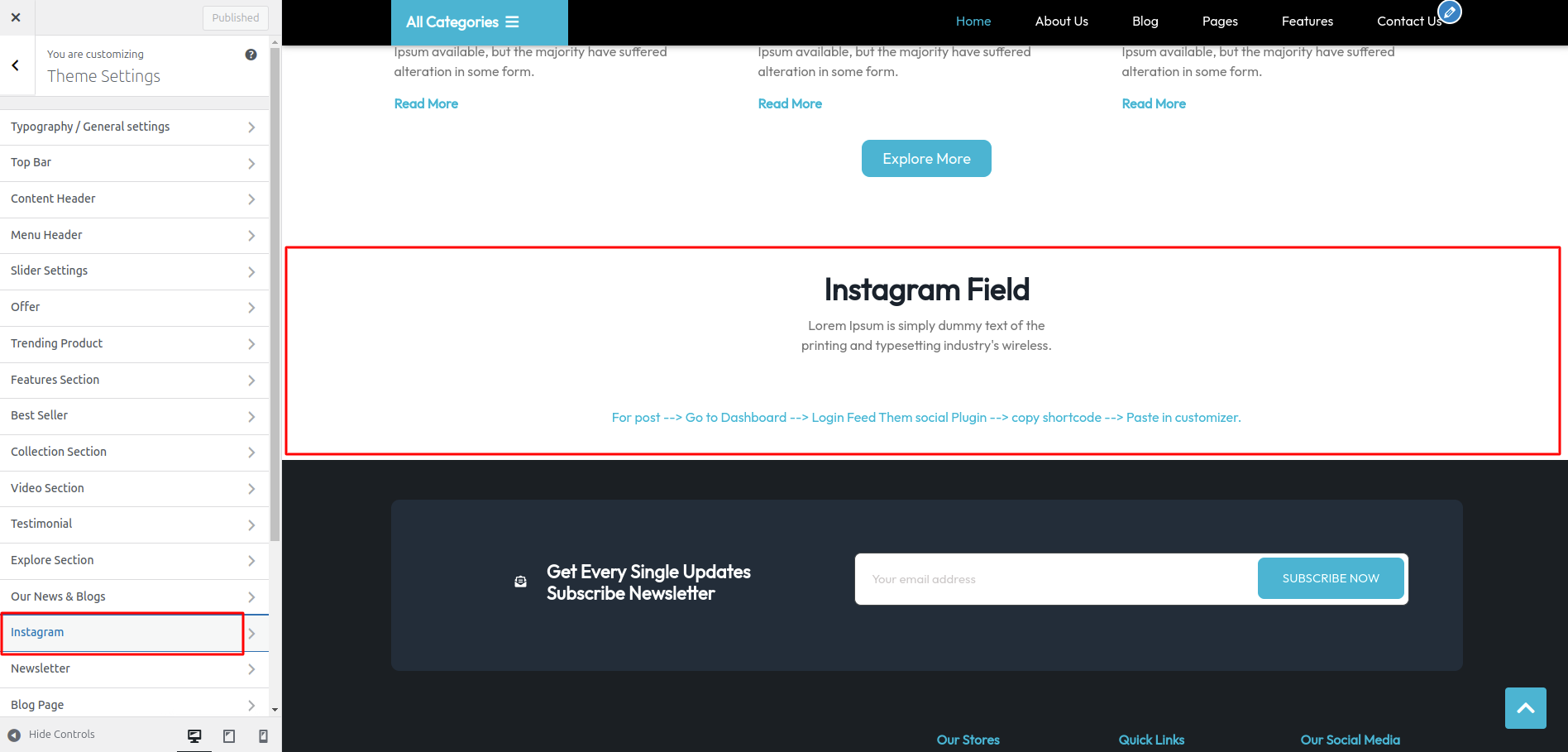 Instagram Field