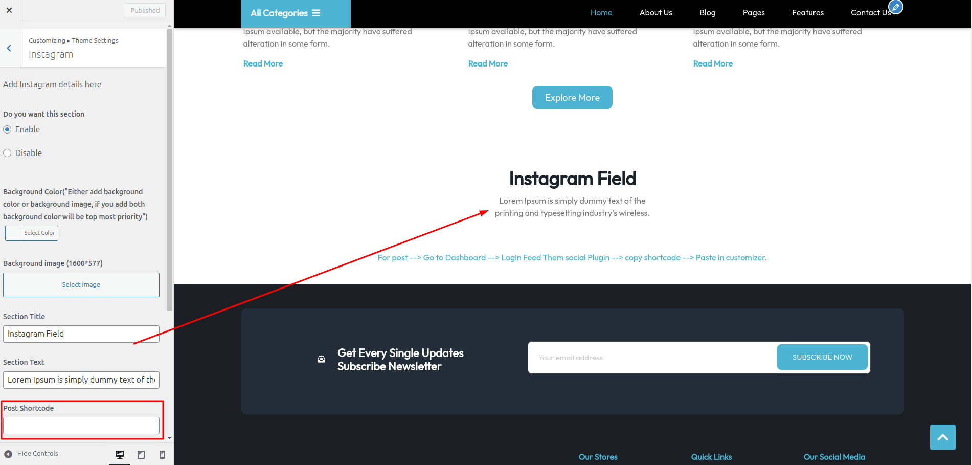 Instagram Field