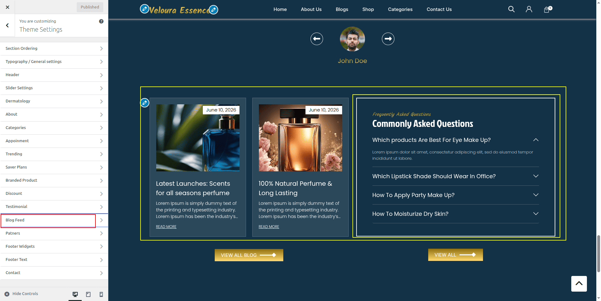 Faq Customizer Settings