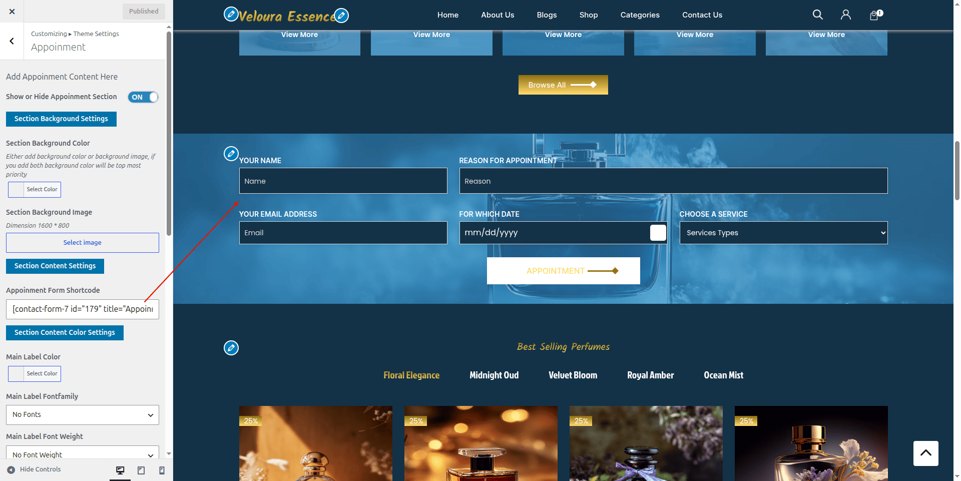 Connect With Us Customizer Settings