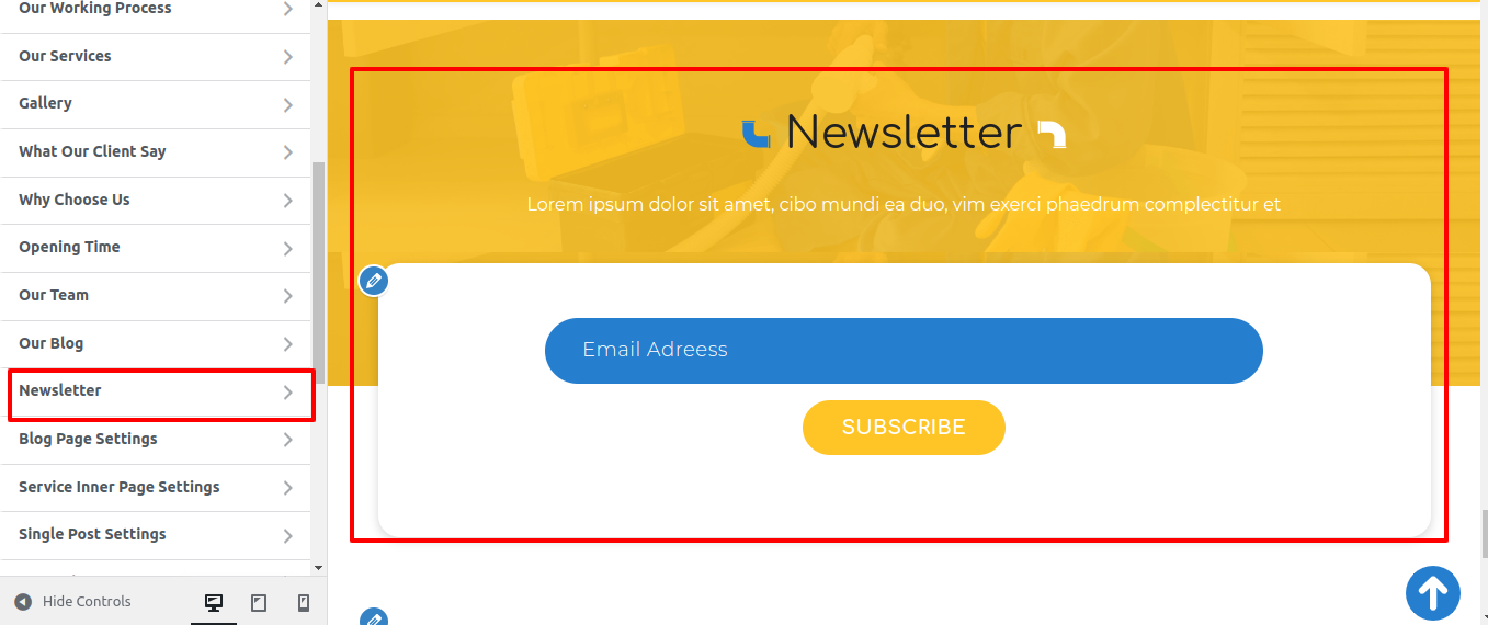 Newsletter Customizer Settings