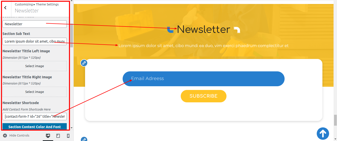 Newsletter Customizer Settings