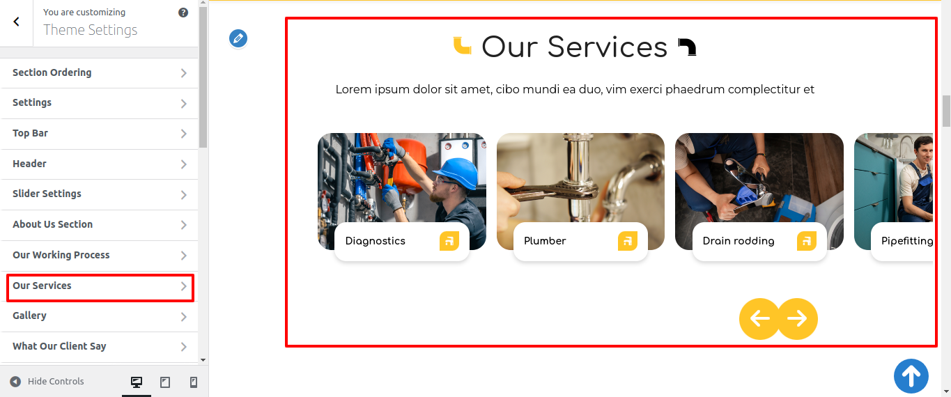 Our Services Section