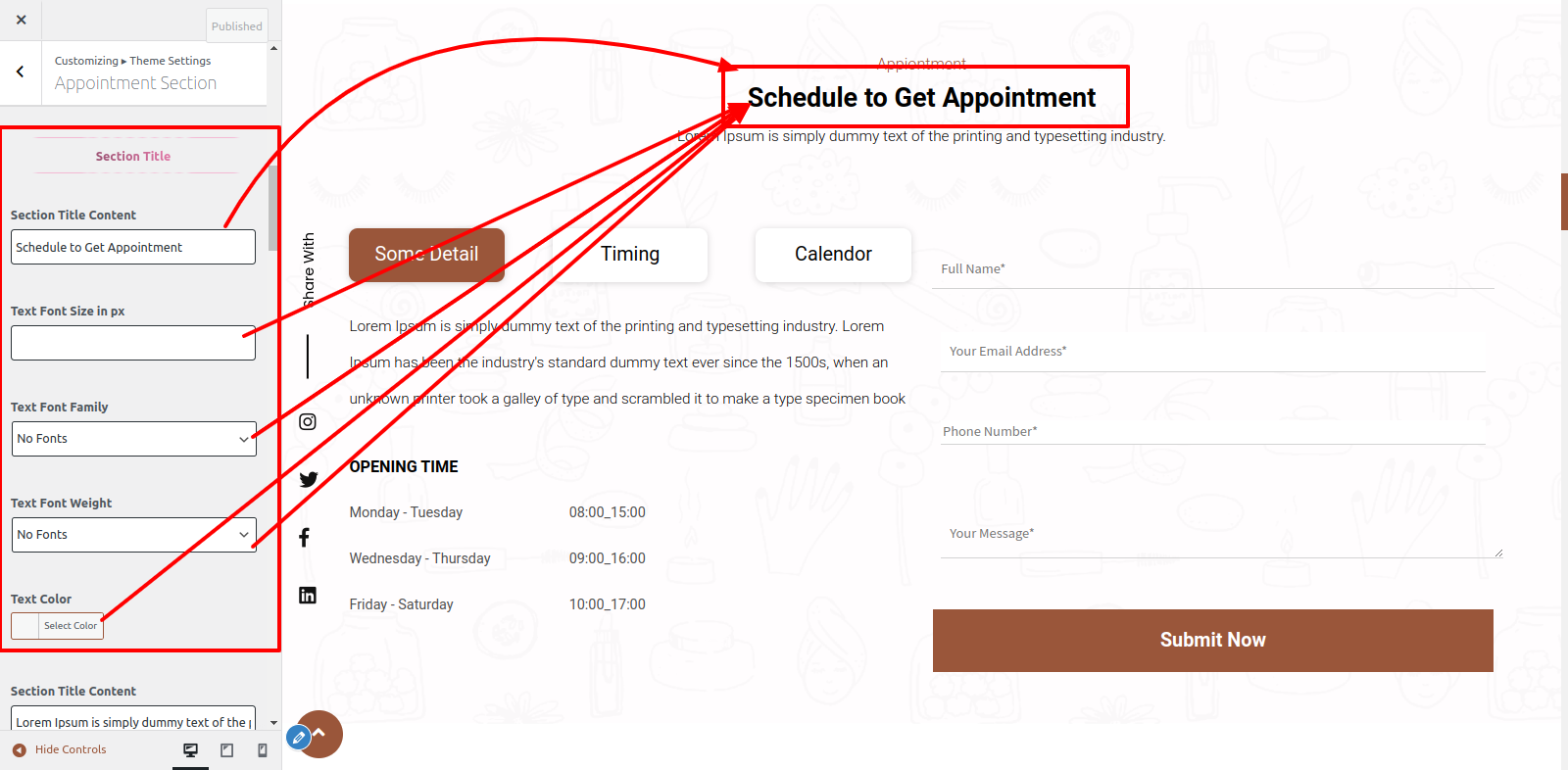 Appointment Section Customizer Settings