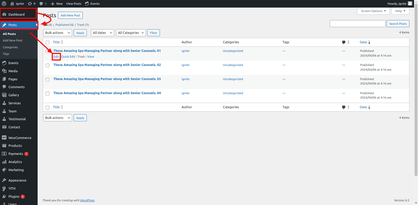 Our Blog Customizer Settings