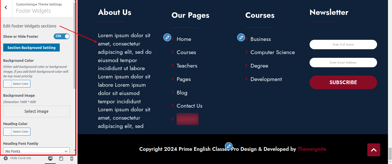 Footer Section