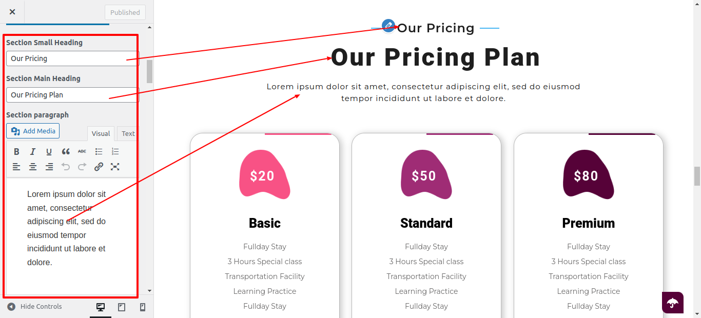 Pricing Plan Section