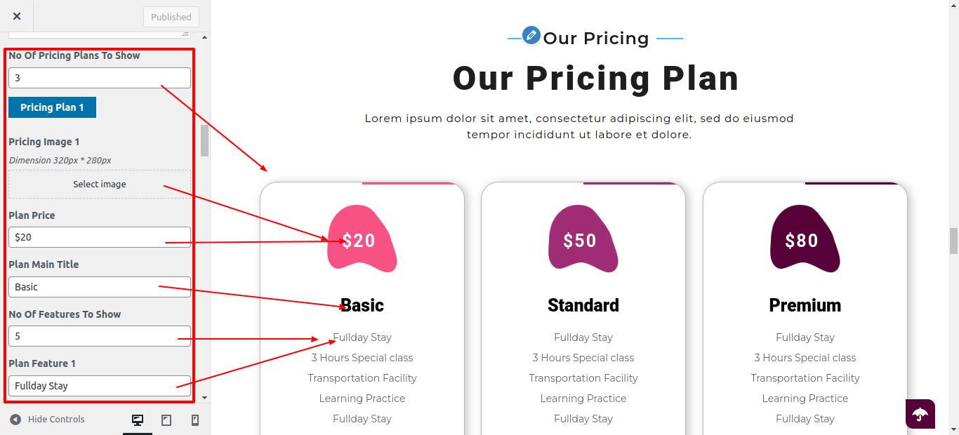 Pricing Plan Section