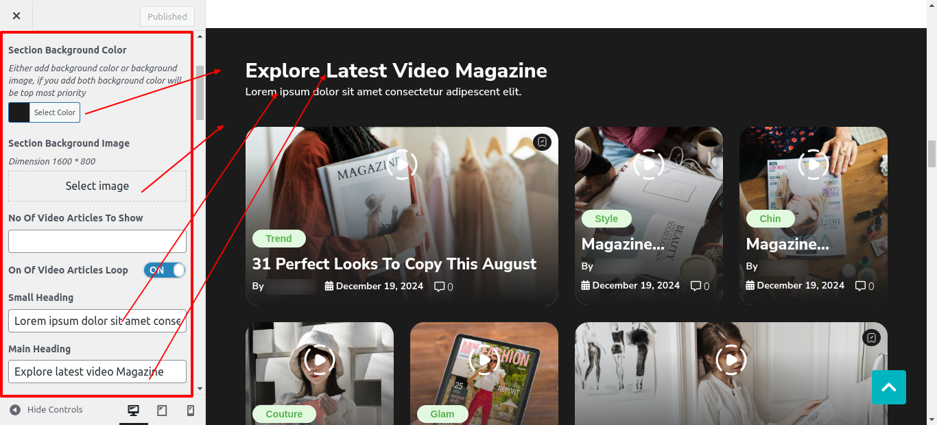 Video Articles Section