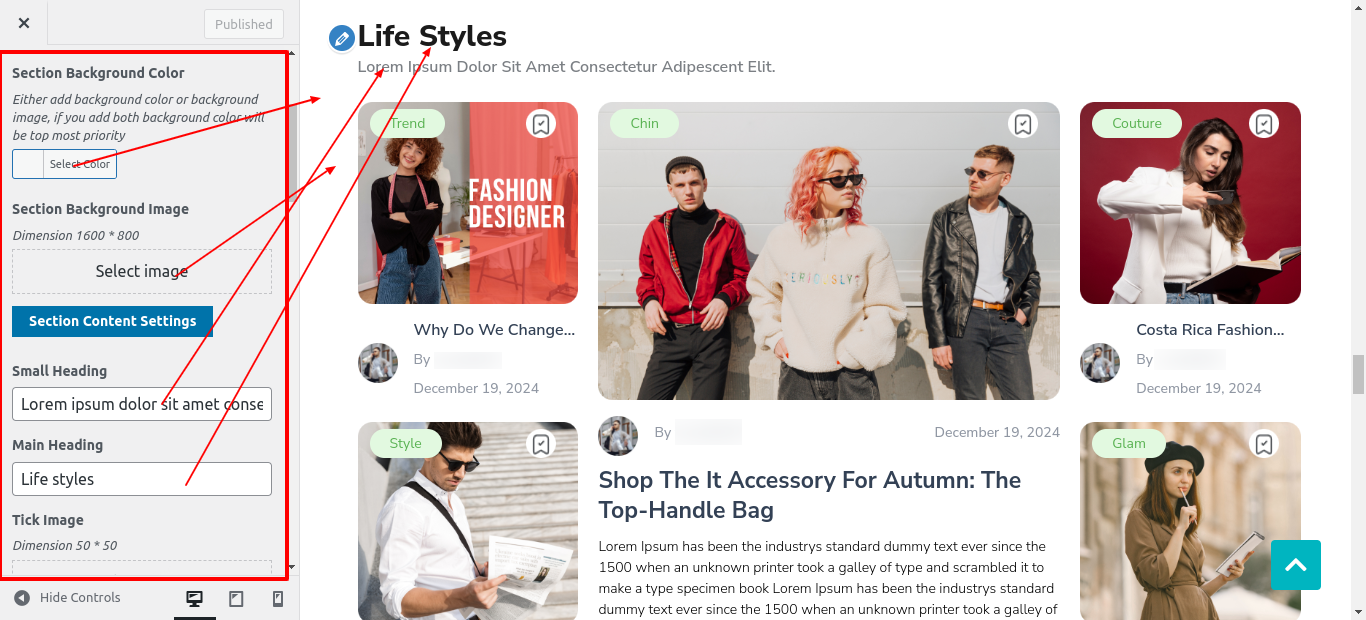 Life Style Section