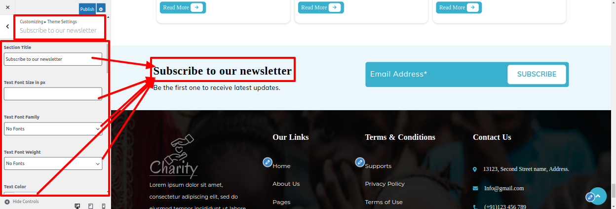 Subscribe to our newsletter Customizer Settings