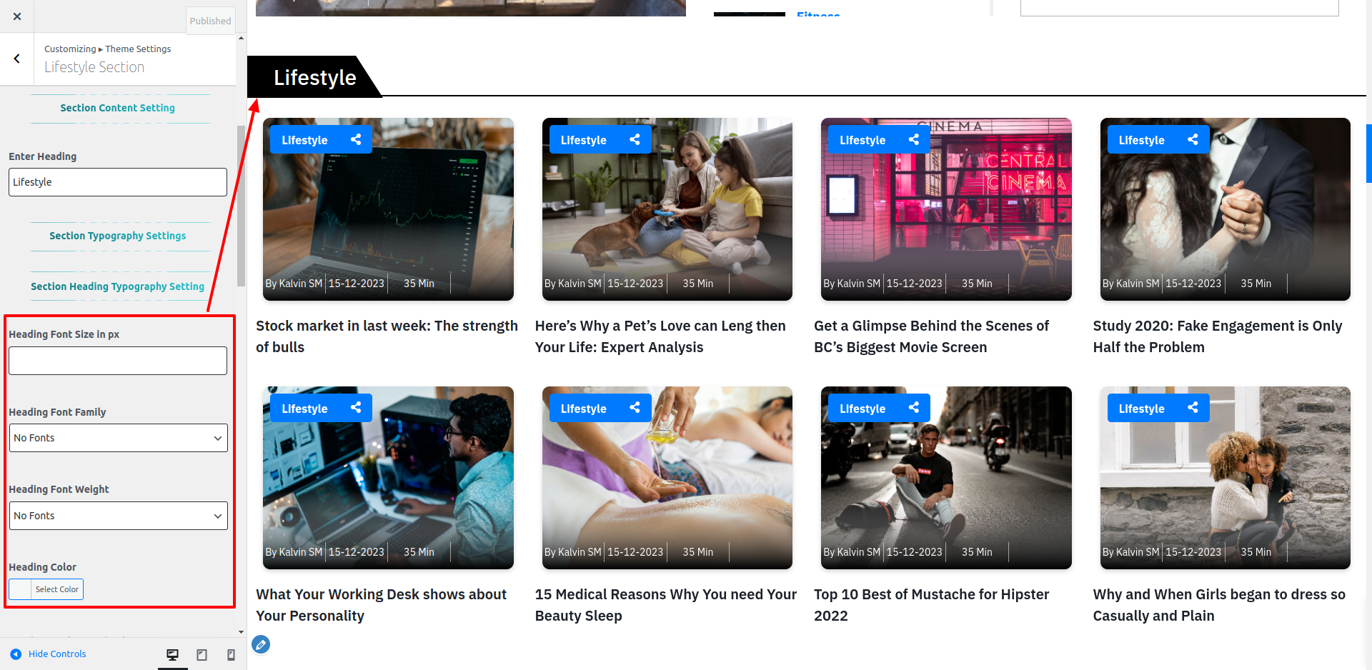 Lifestyle Section Customizer Settings