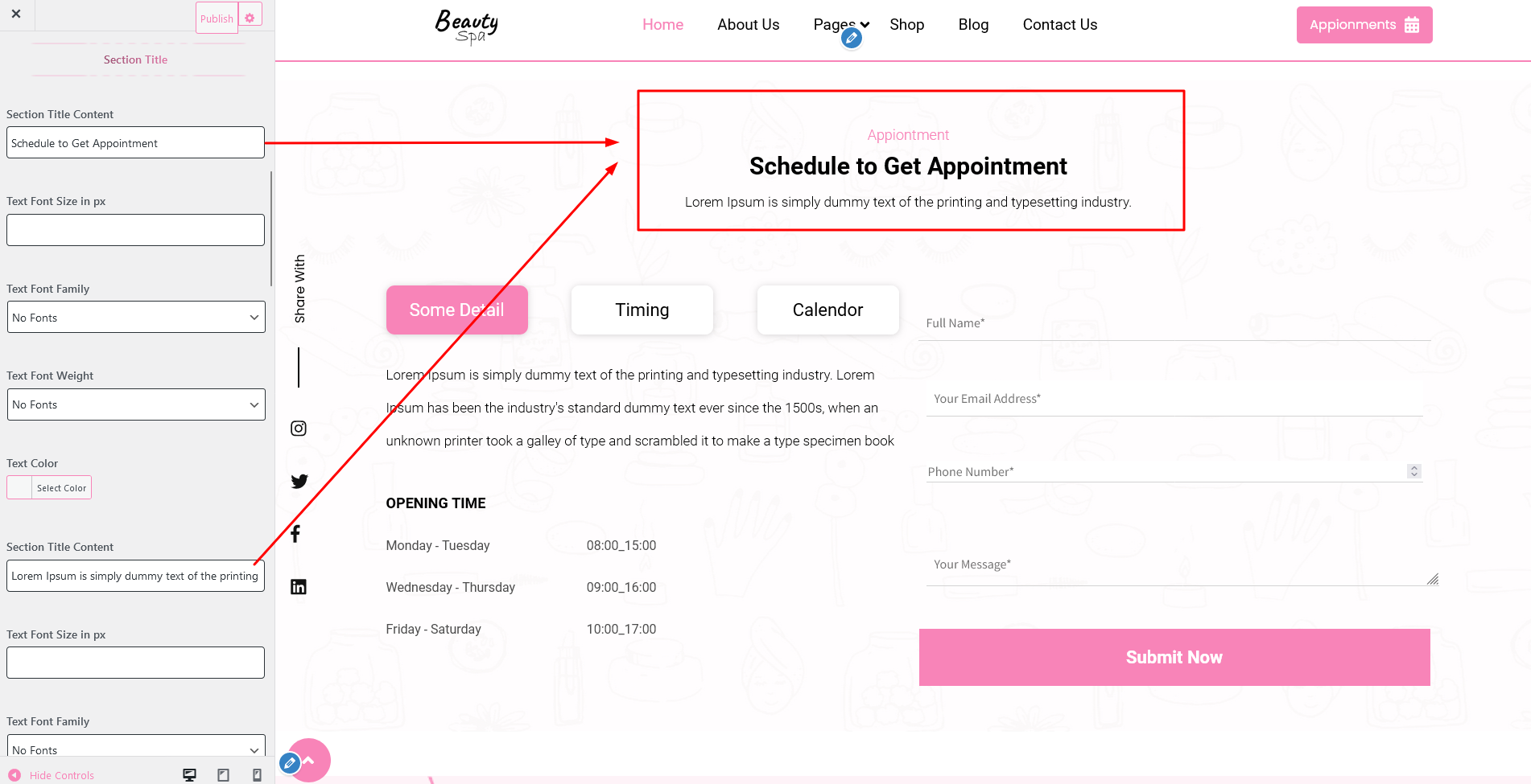 Appointment Section Customizer Settings