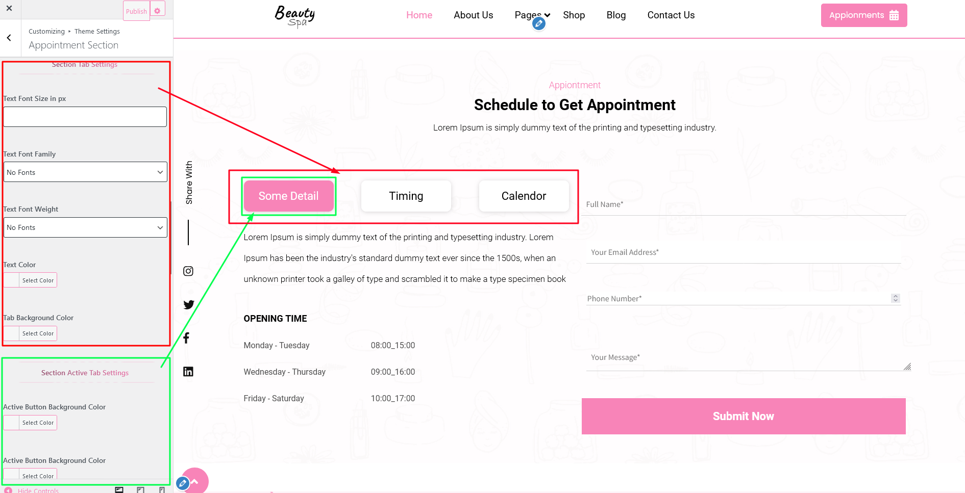 Appointment Section Customizer Settings