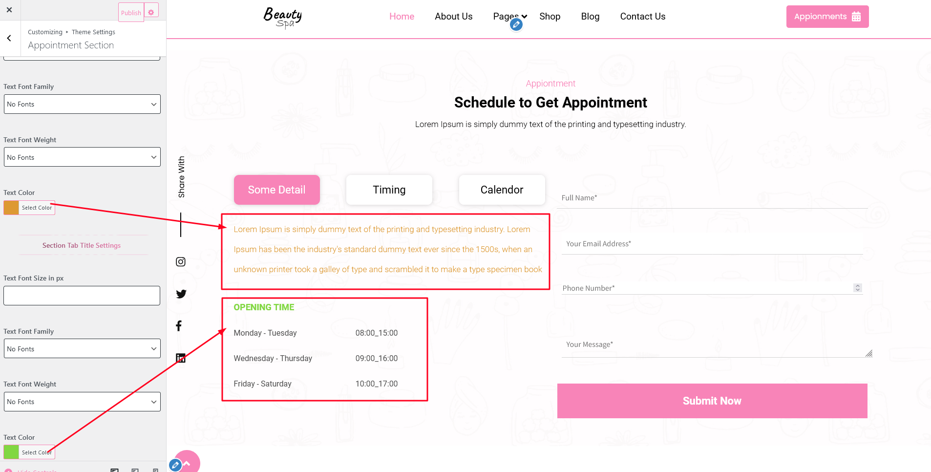 Appointment Section Customizer Settings