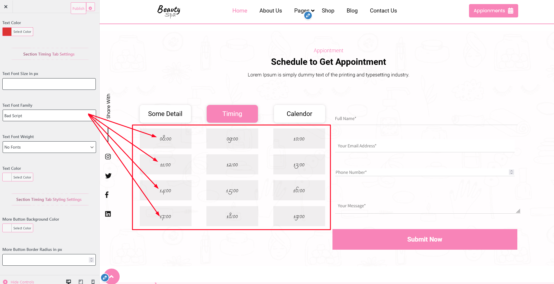 Appointment Section Customizer Settings