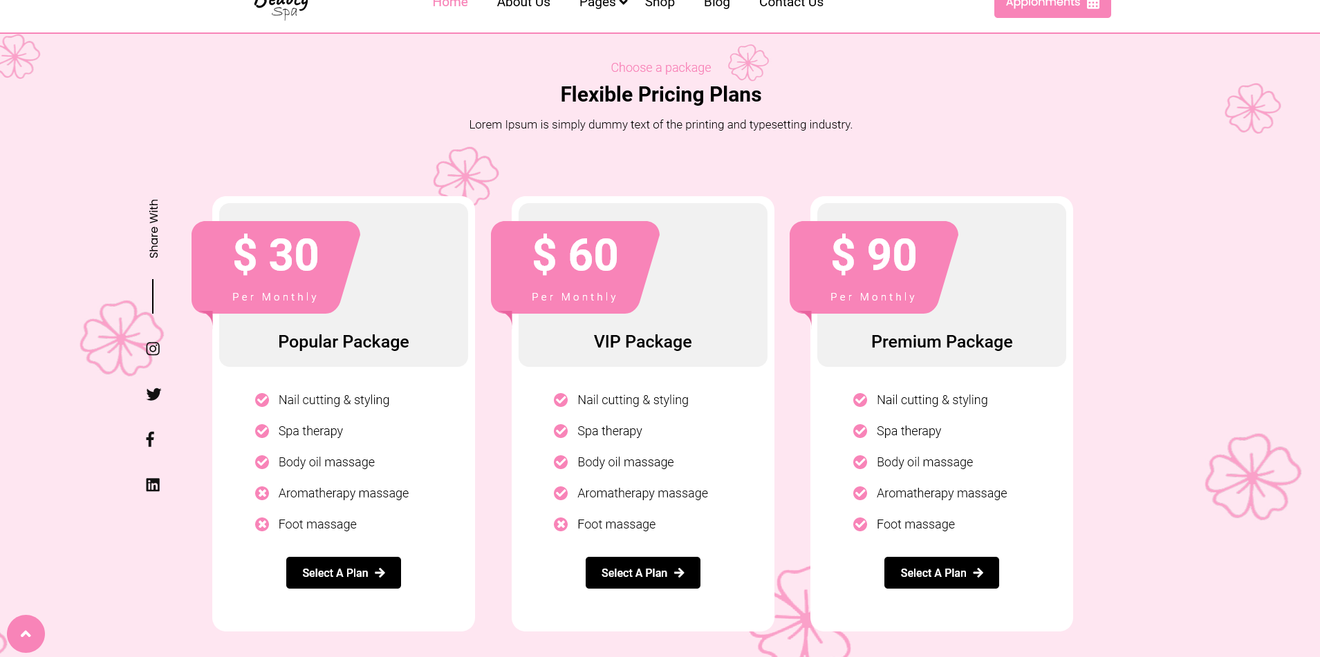 Pricing Plan Section Section