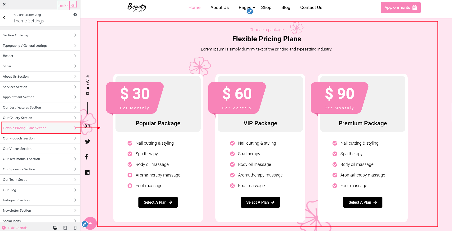 Pricing Plan Section Customizer Settings