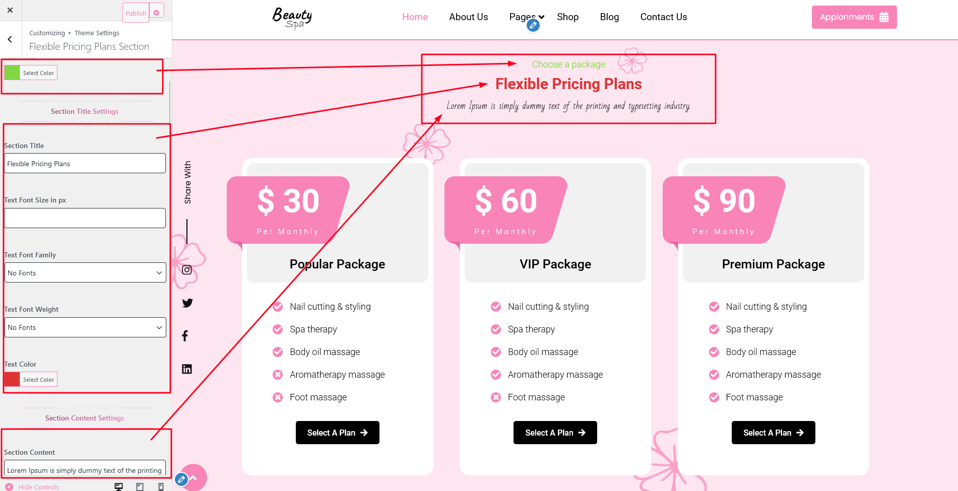 Pricing Plan Section Customizer Settings