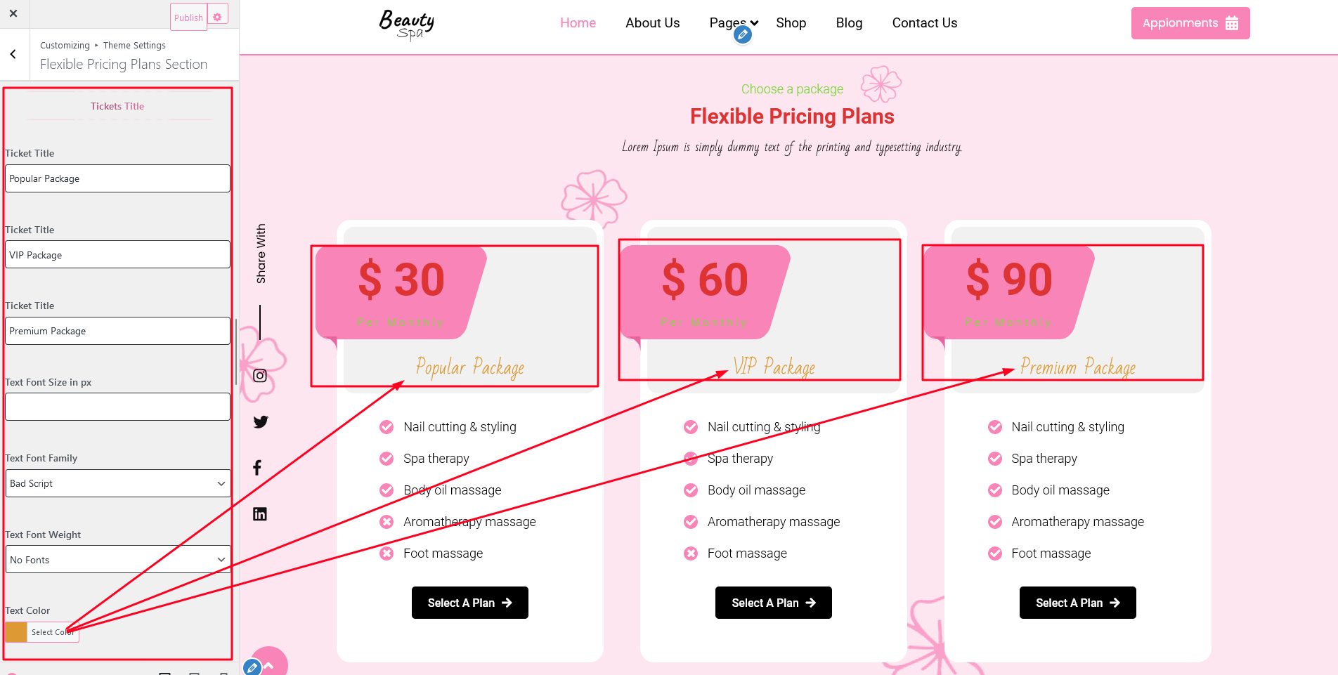 Pricing Plan Section Customizer Settings