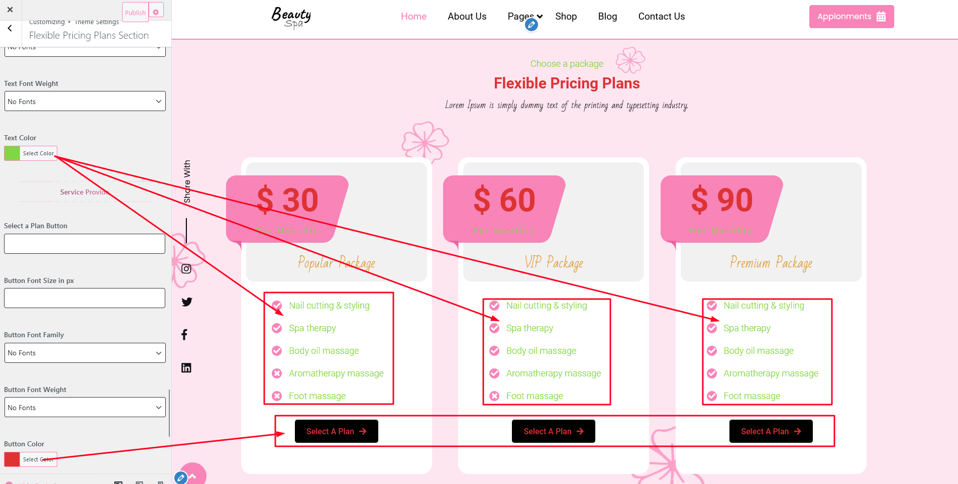 Pricing Plan Section Customizer Settings