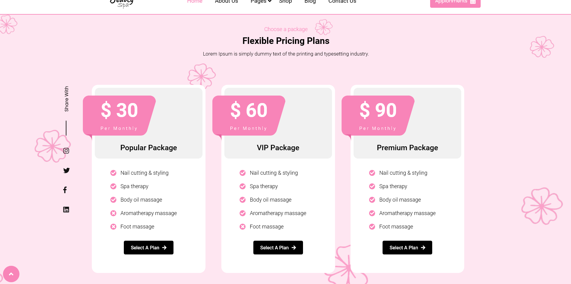Pricing Plan Section