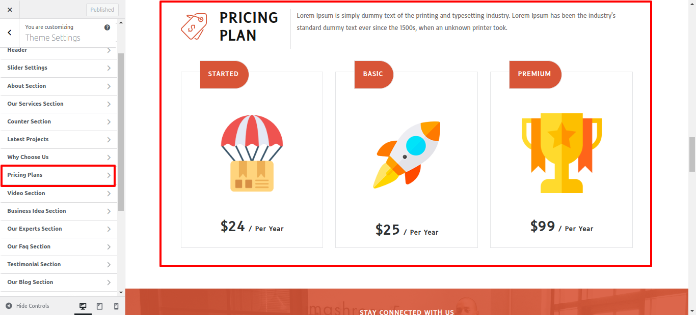 Pricing Plans Customizer Settings