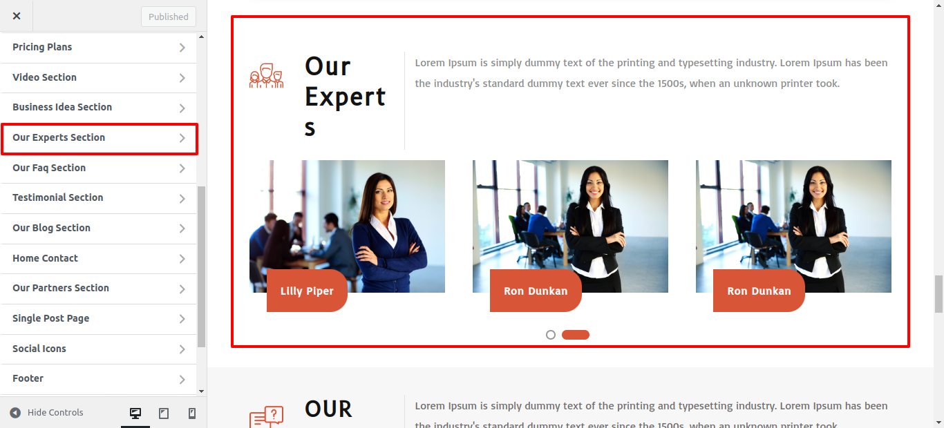 Our Experts Section