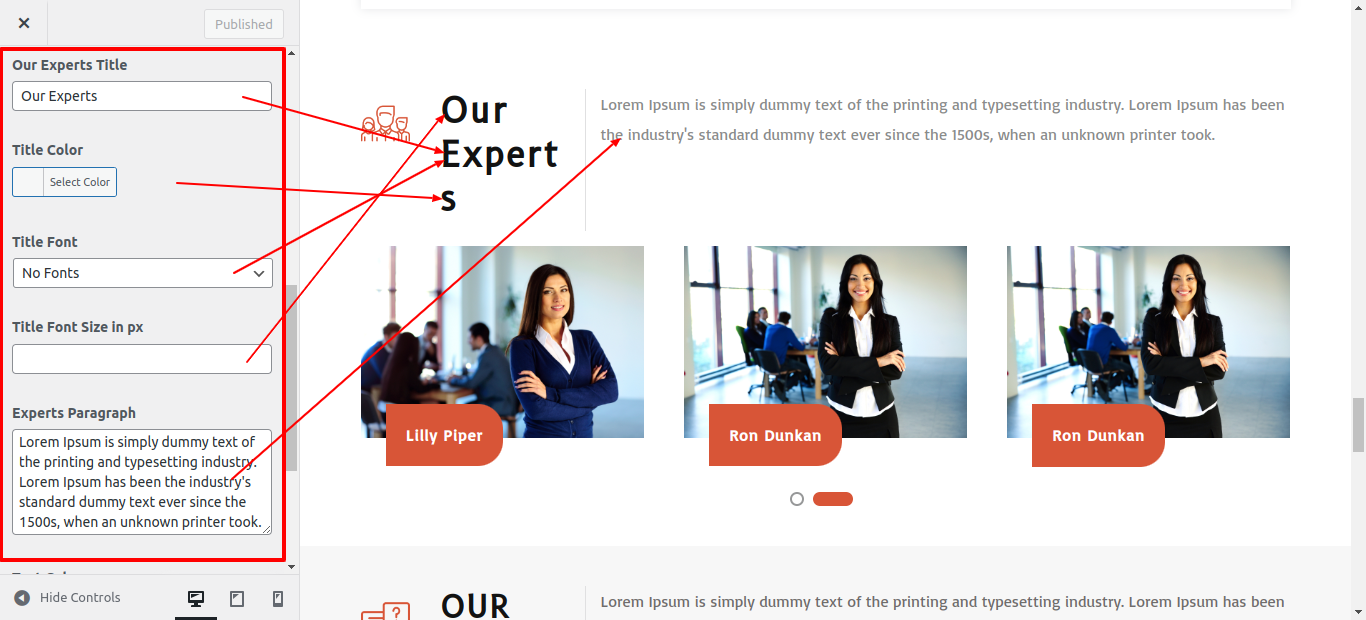 Our Experts Section