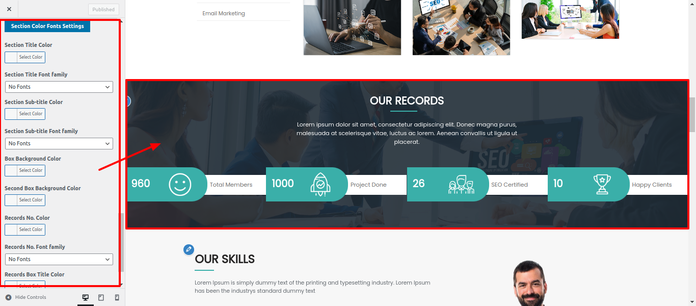 Our Records Section Customizer Settings