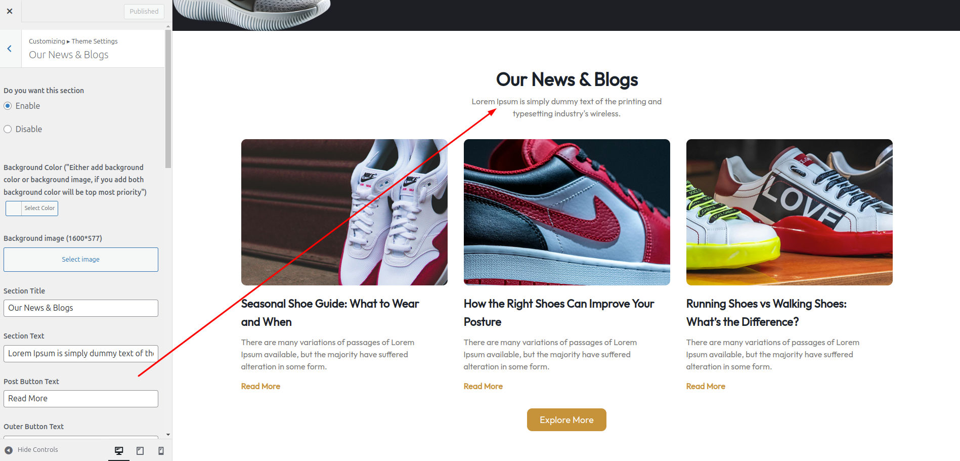 Blog Customizer Settings