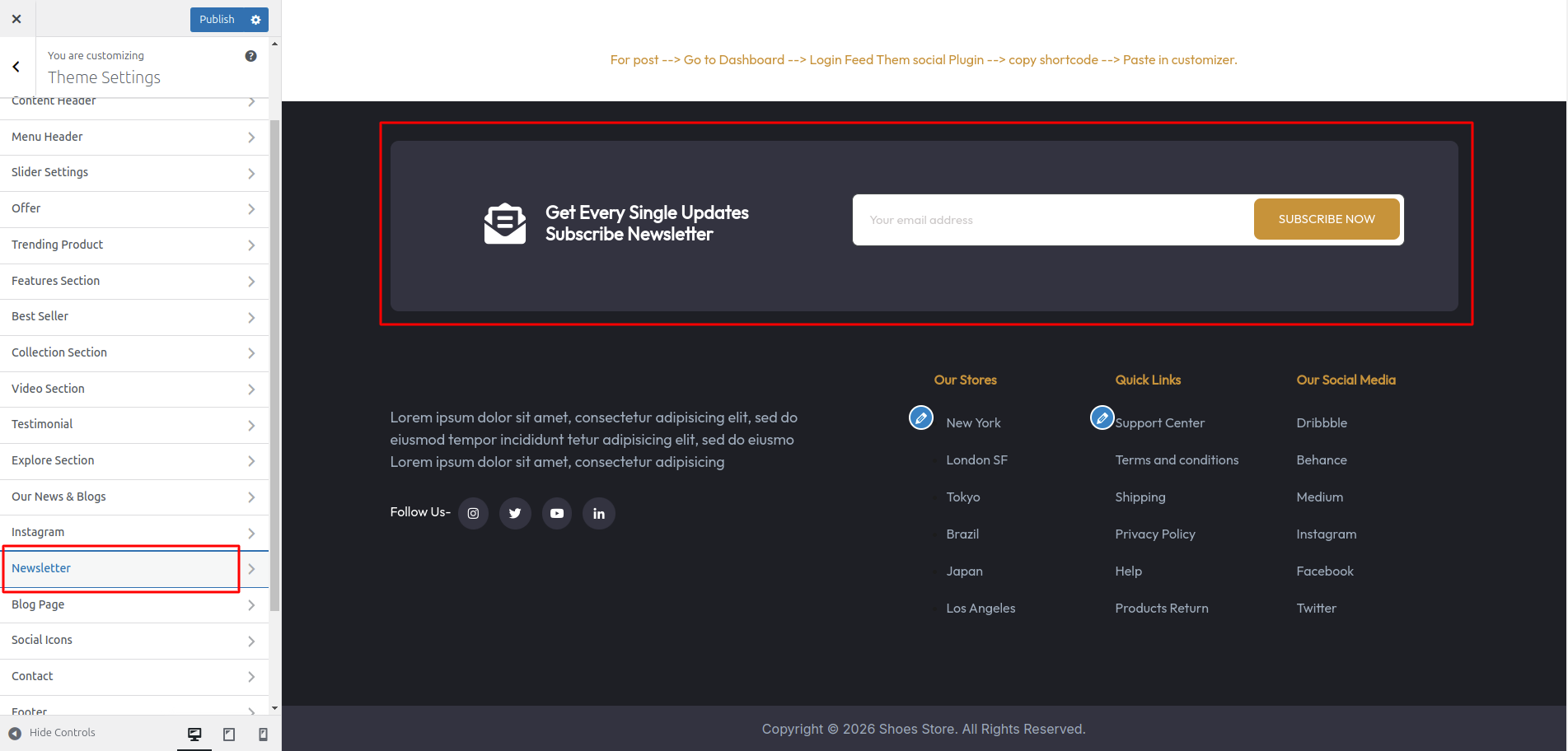Newsletter Customizer Settings