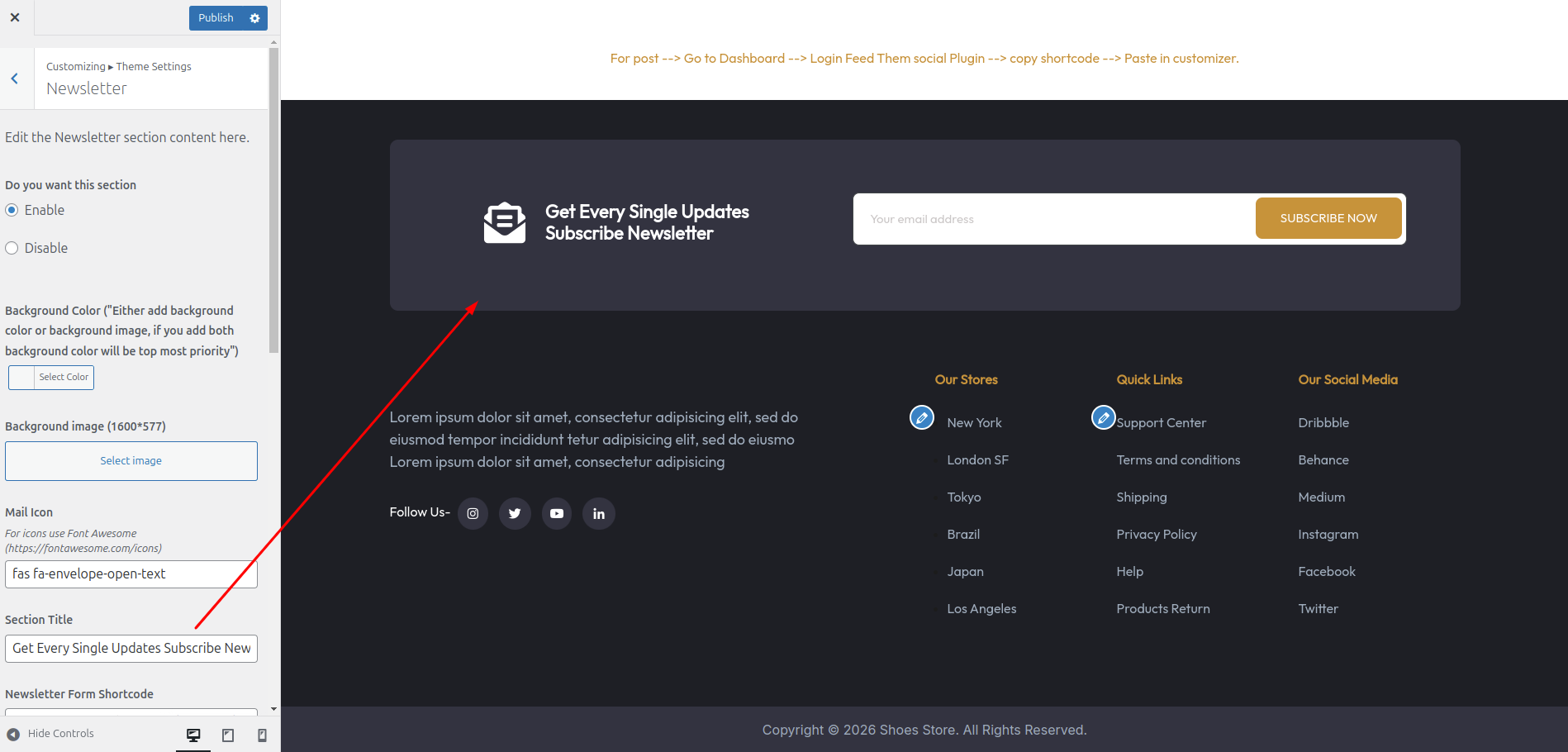 Newsletter Plans Customizer Settings