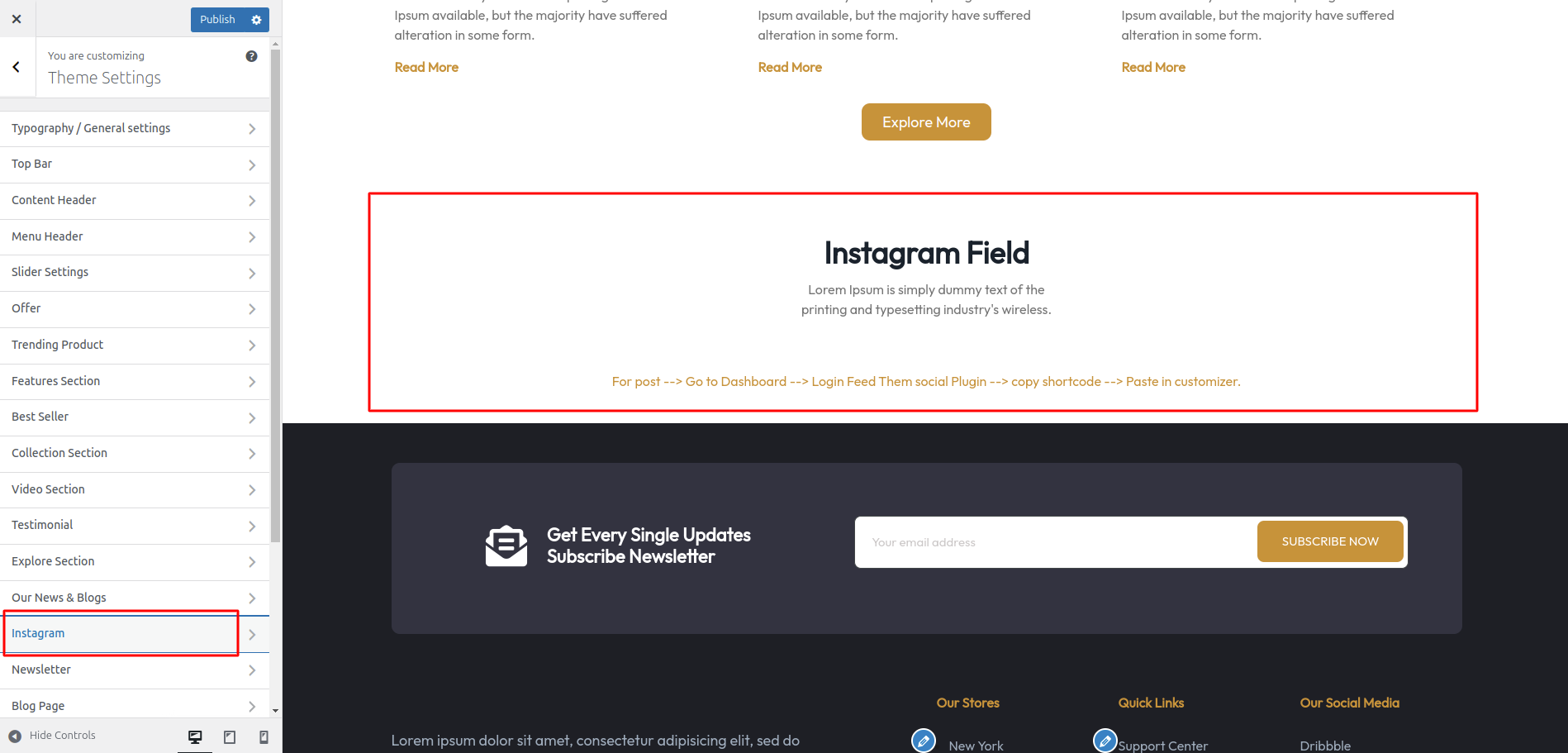 Instagram Field