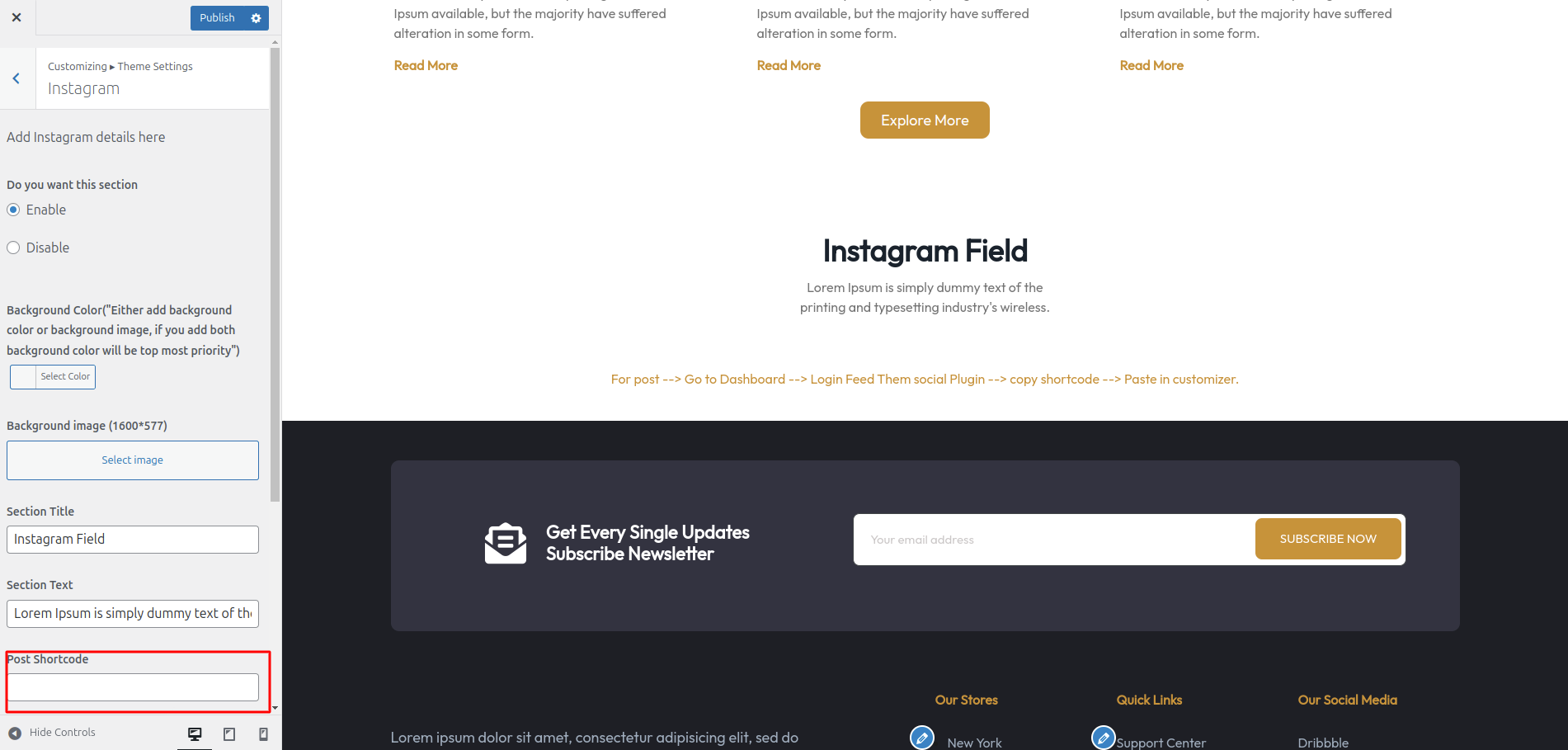 Instagram Field