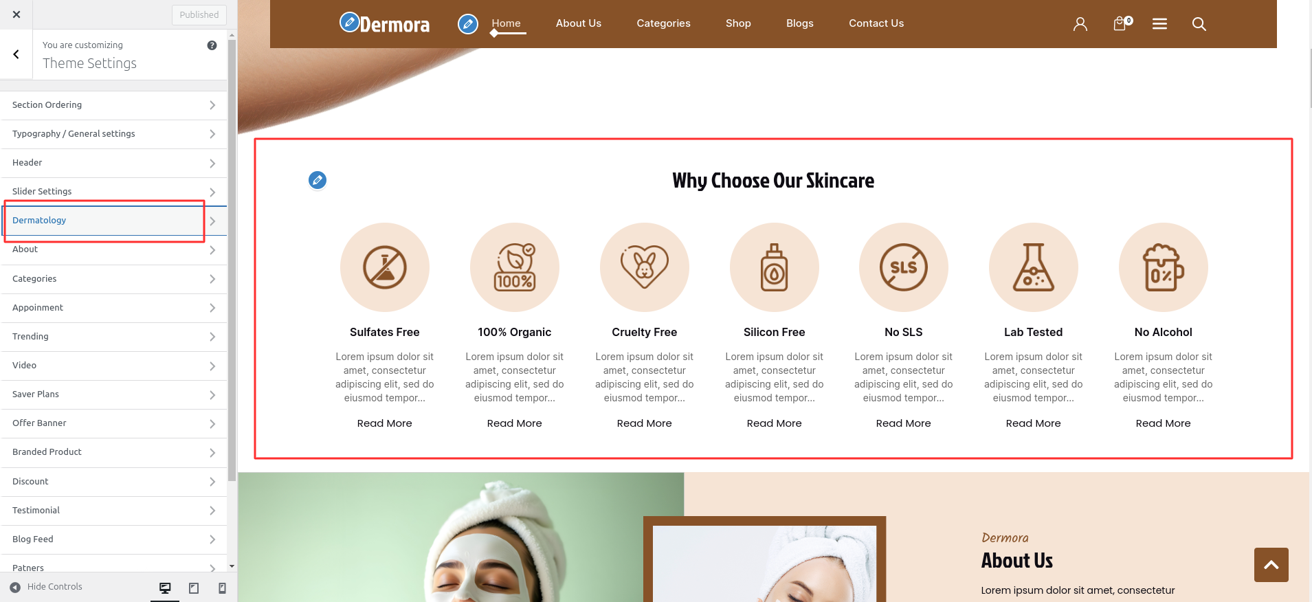Dermatology Customizer Settings