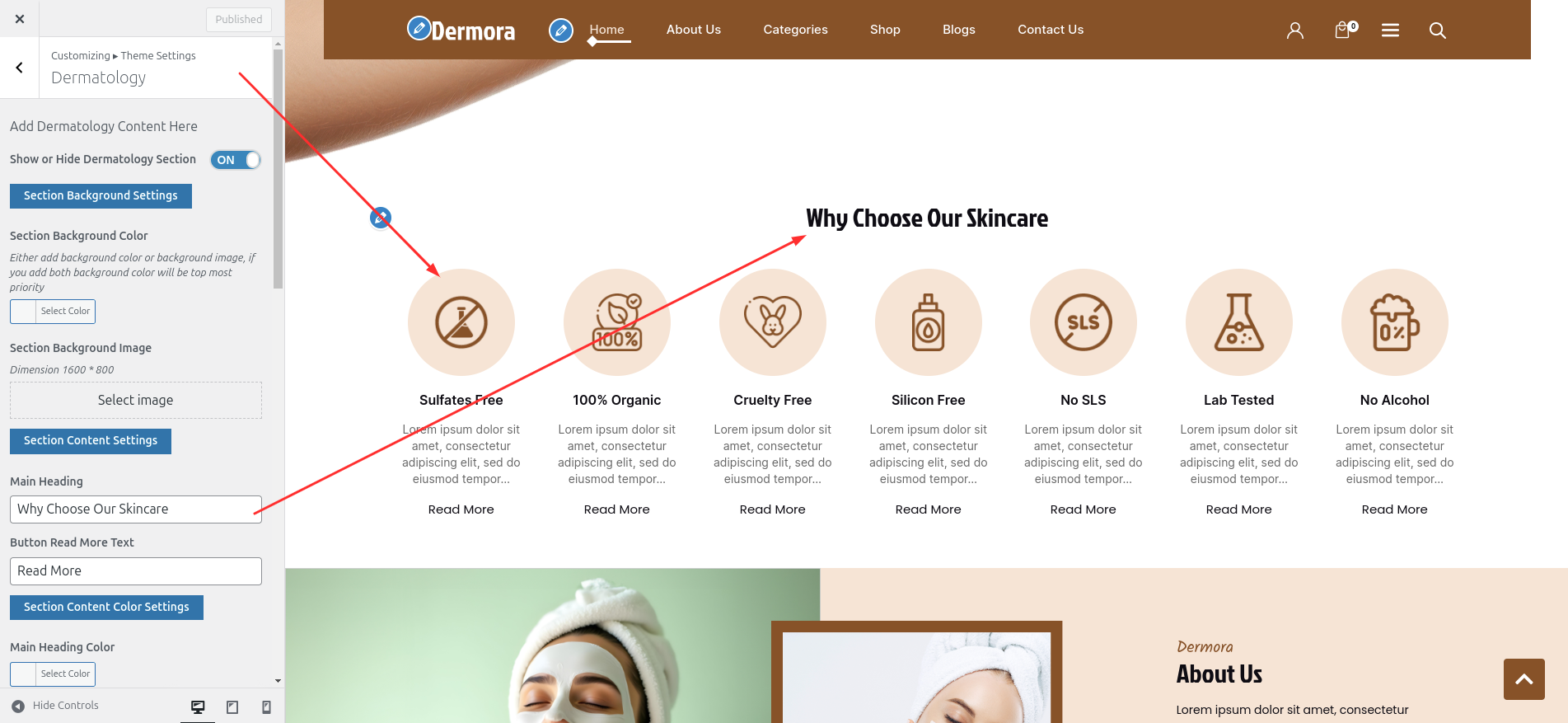 Dermatology Customizer Settings