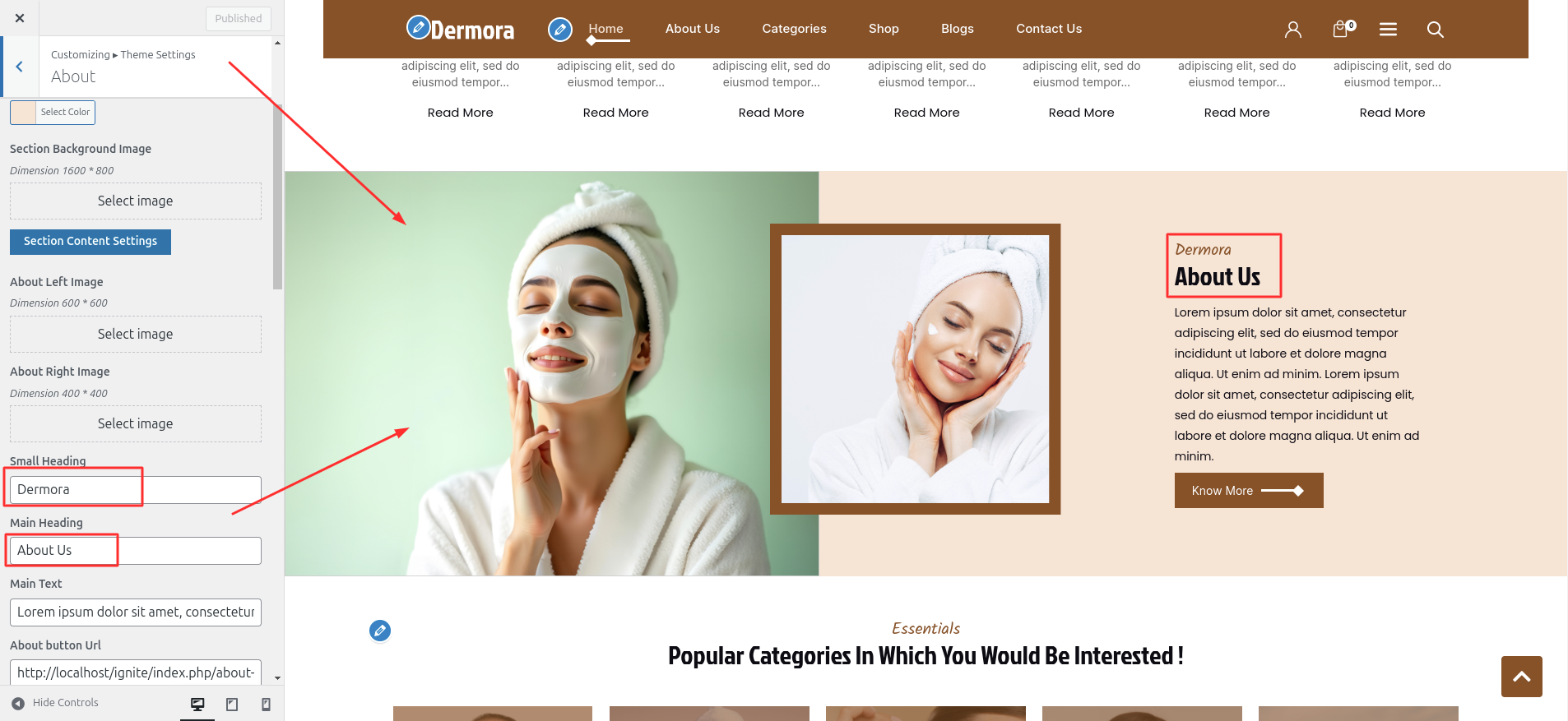 Services Customizer Settings